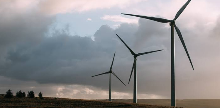 Four offshore farms planned to double Denmark&rsquo;s wind power