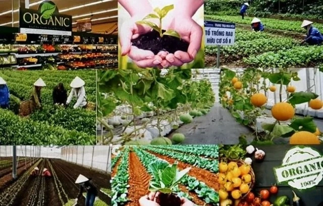 Denmark plans agri-food export push in Vietnam