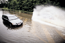 Denmark mulls making flood cover compulsory